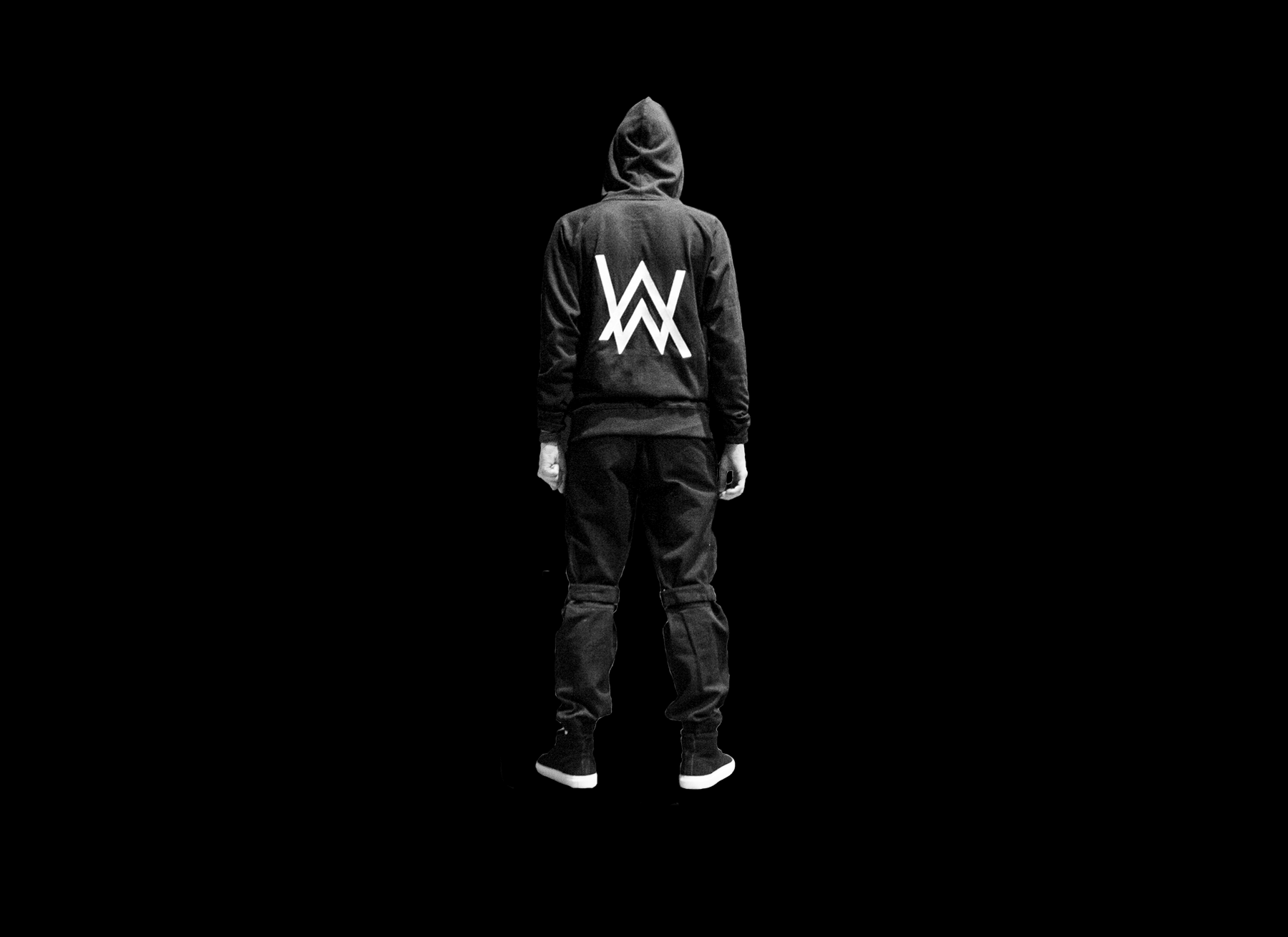 Alan Walker Alone